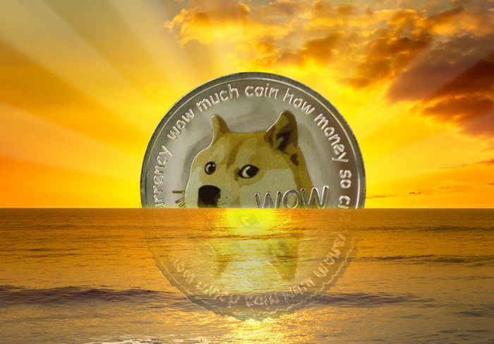 Разрушение российских ставок с помощью Dogecoin